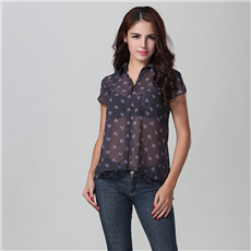 Light & Thin Translucent Chiffon Blouse