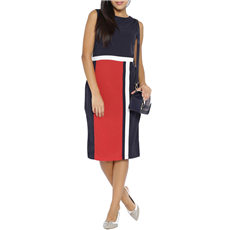 Elegant Silk One Piece Dress